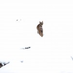B339 in the snow...
