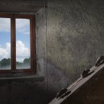 House mouse in an attic...