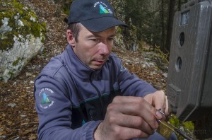 Swiss warden setting up a camera trap for the monitoring of the lynx in the Jura mountains.