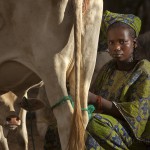 Mauritanian-refugees_Laurent-Geslin_19