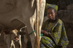 Mauritanian-refugees_Laurent-Geslin_19