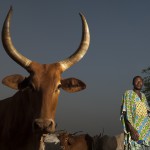 Mauritanian-refugees_Laurent-Geslin_24