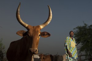 Mauritanian-refugees_Laurent-Geslin_24