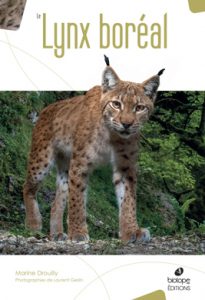 le-lynx-boreal_390px
