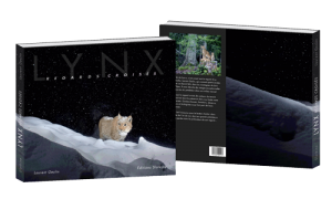 book-lynx-cover-3D