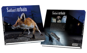 book-safari-urbain-cover-3D