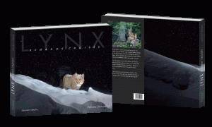 final couverture lynx