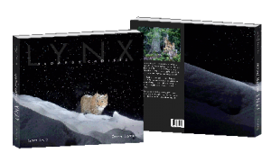 final couverture lynx