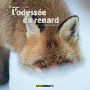 book-Odyssée du Renard