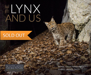 the-lynx-and-us_Laurent-Geslin-preview-soldout