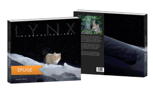 book-lynx-cover-3D-soldout