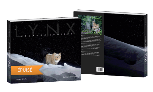 book-lynx-cover-3D